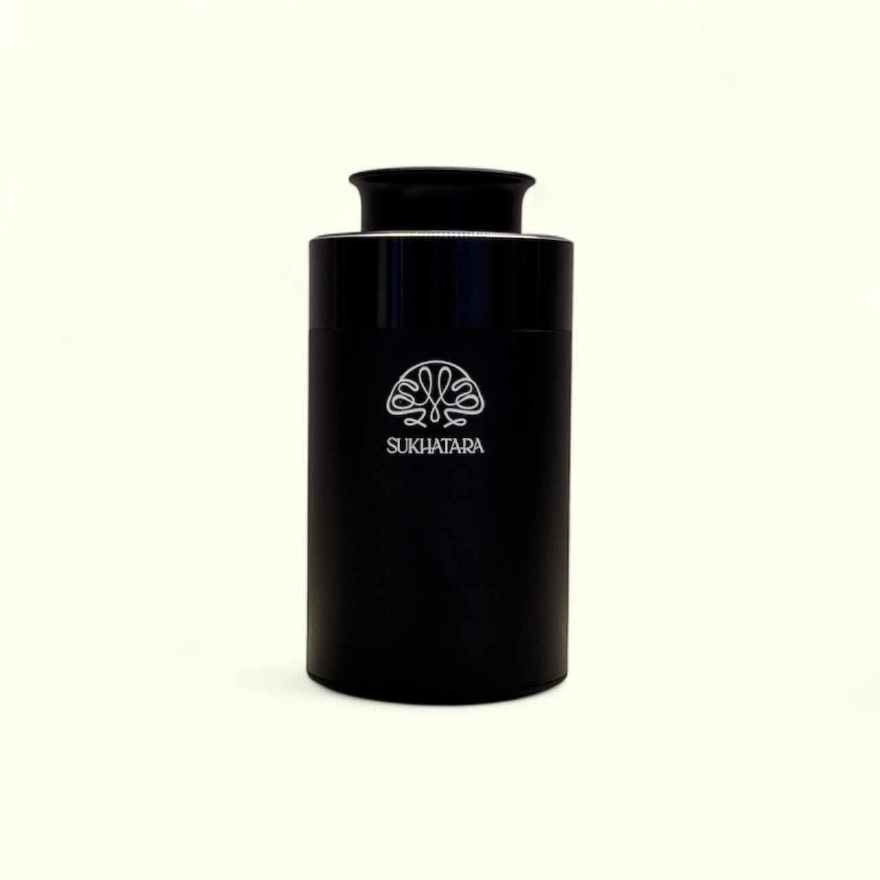 Portable Nebulizer