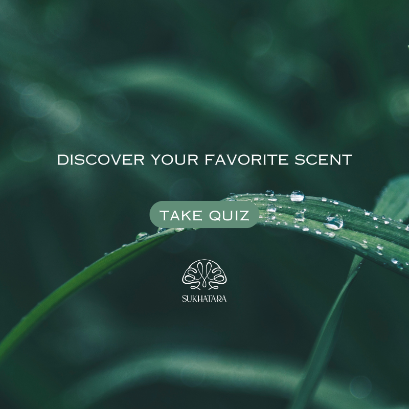 Can't decide ? Take the quiz and enjoy complementary discount on your perfect blend